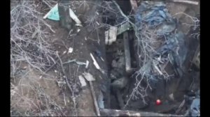 Были да сплыли №32