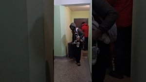 Зит и Гит и 11 их друзей