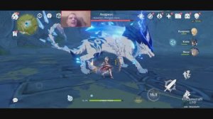 Genshin Impact как легко победить волка (Волчьего Лорда, Андриус) Волк севера Северный волк