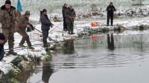 Утренние поимки на водоеме