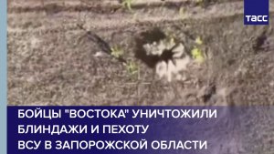 Бойцы "Востока" уничтожили блиндажи и пехоту ВСУ в Запорожской области