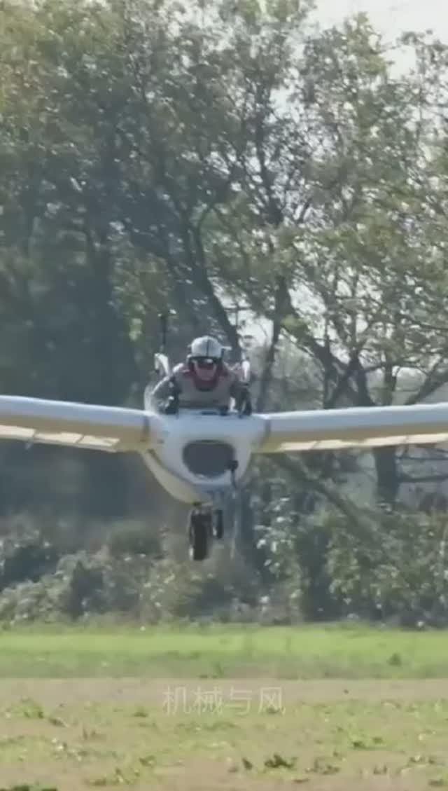 Реплика Мёвэ Навсикаи #планер #чайка @85078279621