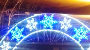 Что у нас сегодня