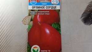Томат «Орлиное сердце» от «Сибирский сад» — крупные, мясистые плоды для свежих салатов