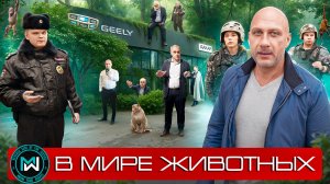 В мире животных — автодилер Дакар: продолжение истории