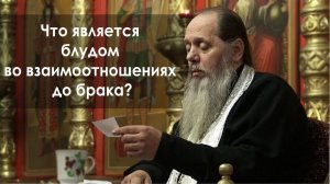 Что является блудом во взаимоотношениях до брака? (прот. Владимир Головин)