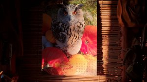 Мой солнечный день, тихая деревня и приятный вечер