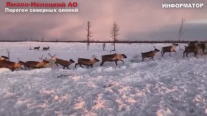 Новости Сегодня 22.11.2025 - Цунами Россия, Москва Ураган, Украина, Катаклизмы