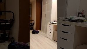 влог как  проходит наш вечер