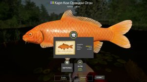 НОВЫЕ НАЖИВКИ ДЛЯ ФАРМА НА МЕДНОМ, СУПЕР ТОЧКИ ДЛЯ РЕДКИХ ТРОФОВ НА ВЬЮНКЕ МЕДВЕЖКЕ ОСТРОГЕ В РР4