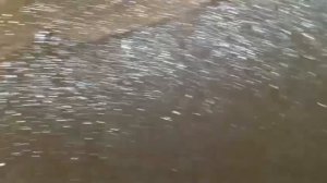 К.П. Новорижские ключи. Мутная вода при дождях. podkapaev.ru