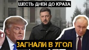 ТАМИР ШЕЙХ / АНДРЕЙ ПОНОМАРЬ / КАПИТУЛЯЦИЯ ЗЕЛЕНСКОГО. ЧТО БУДЕТ ПОСЛЕ 27 НОЯБРЯ новости сводки