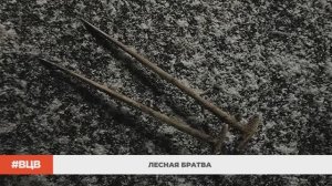 Лесная братва / В центре внимания – 10 (21.11.2025)