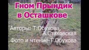 Гном Прындик в Осташкове