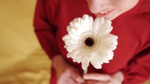 Если любовь - то только Божья! - NEW MSD Music Laboratory