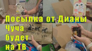ПОСЫЛКА ИЗ СУРГУТА/ ЧУЧУНДРУ ПОКАЖУТ ПО ТВ / 15 ноября 2025