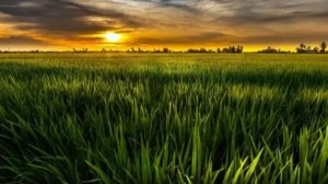 Простите за плохое качество инет плохой постройка дома!