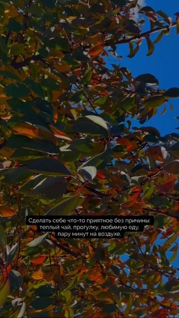 Видео от МОНС 4 COTTAGE