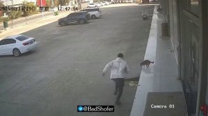 Большой и глупый