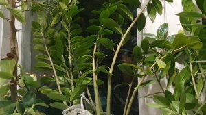 Летят года...