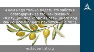 23 ноября 2025. Молитва и благодарность. Под сенью благодати. Адвентисты