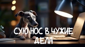 Сую нос в чужие дела. Недорого.