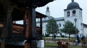 Свияжск (22.11.2025)(2)