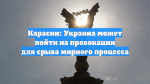 Карасин: Украина может пойти на провокации для срыва мирного процесса