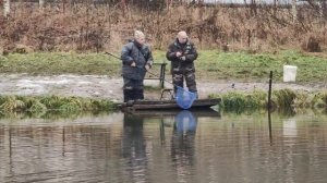 Светлые Горы Форель9 22.11.2025г.