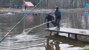 Поимки форели на верхнем водоёме. Клёвое место, Лосиный остров.