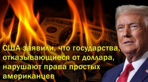 США заявили, что государства, отказывающиеся от доллара, нарушают права простых американцев