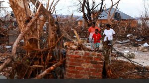На Ямайке зафиксировали вспышку смертельного лептоспироза после урагана «Мелисса»