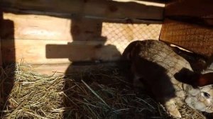 Утро начинается, начинается.