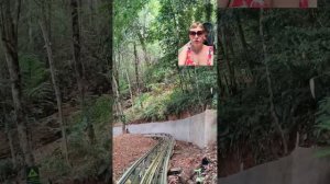 Вьетнам. Электросани к водопаду Датанла, экскурсия Далат. Тур за 72 тысячи ₽ с перелетом.Тутси-диеты