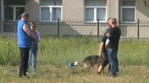 BH 28_06_2014 .....1 часть