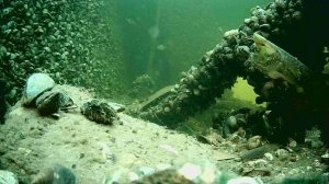 1000004933.mp4Волга гл.2м.22.11.2025г.