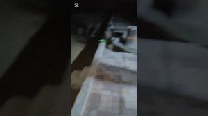 Так выглядят вольеры ночью