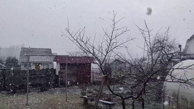 Настоящие первые зимние снегопады ❄️ 15.11.25 смотреть онлайн