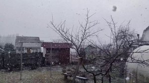 Настоящие первые зимние снегопады ❄️ 15.11.25