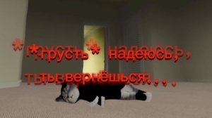 игра с котятами