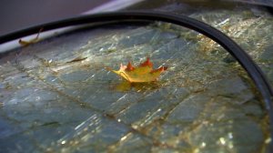 Водитель иномарки погиб при столкновении с автобусом в Марий Эл