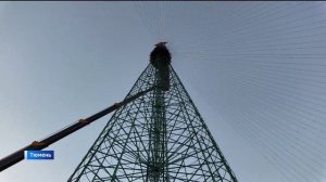 Главную новогоднюю елку устанавливают в областной столице