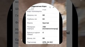 1000040849.mp4 (Собака смотрит на монтаж э/проводки (вариант монтажной коробки) в доме А-фрейм)