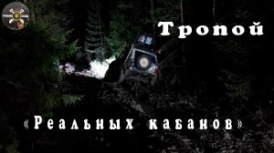 Тропой "Реальных кабанов"