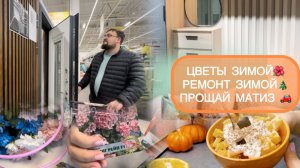 🟣ЗИМУЮ С ПЕЛАРГОНИЯМИ🌺🌼А МОЖЕТ ЖИДКИЕ ОБОИ?🤷♀️ПРОЩАЙ МАТИЗ 🚗