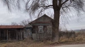 Наконец разобрала стену. Экскурсия "Купцы Селивановы".