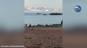 4 месяца в одиночестве в Антарктиде: Фёдор Конюхов показал полярную станцию на острове Смоленск