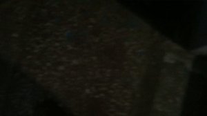 Теорема ЖКХ_Подъезд_2025.11.22_14-00