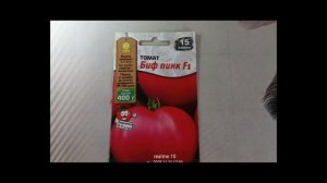 Томат БИФ Пинк F1 — крупные и мясистые бифштексные томаты