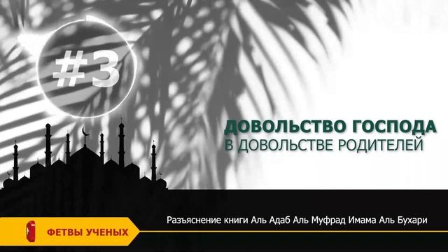 Разъяснение книги «аль-Адаб аль-Муфрад». Урок 3 | Шейх Абдурразак аль-Бадр смотреть онлайн